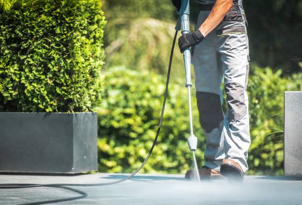 Best Rust Removal  in Fennville, MI