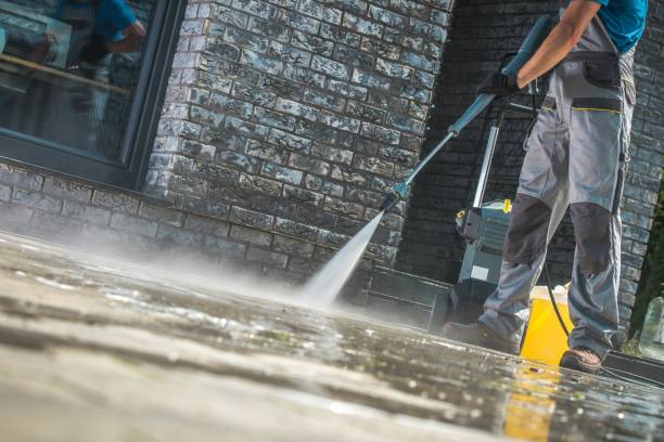 Best Dumpster Area Cleaning  in Fennville, MI