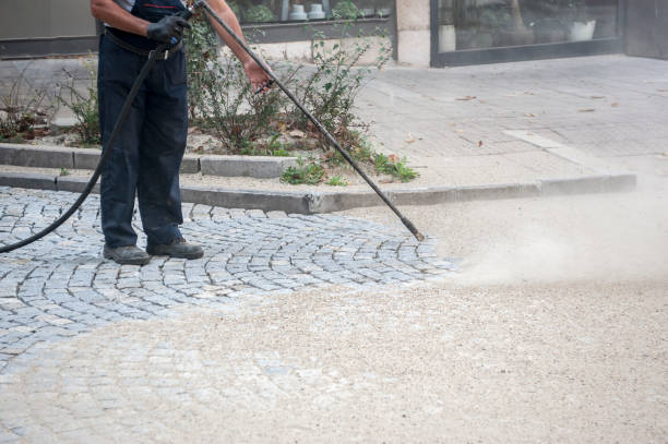 Best Pre-Holiday Cleaning  in Fennville, MI
