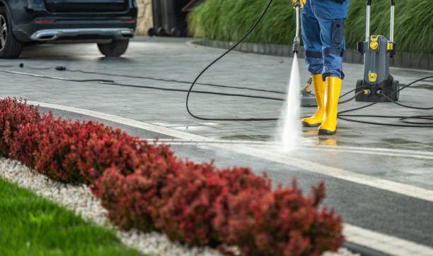 Best Playground Equipment Cleaning  in Fennville, MI