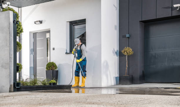 Best Sidewalk and Walkway Cleaning  in Fennville, MI